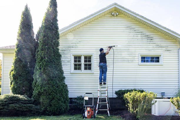 Professional Pressure Washing in Gloucester Courthouse, VA