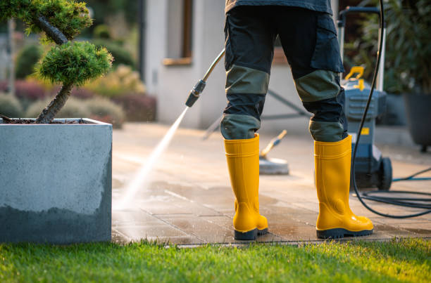 Best Pressure Washing Driveway  in Gloucester Courthouse, VA